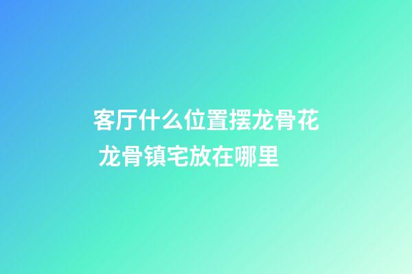 客厅什么位置摆龙骨花 龙骨镇宅放在哪里